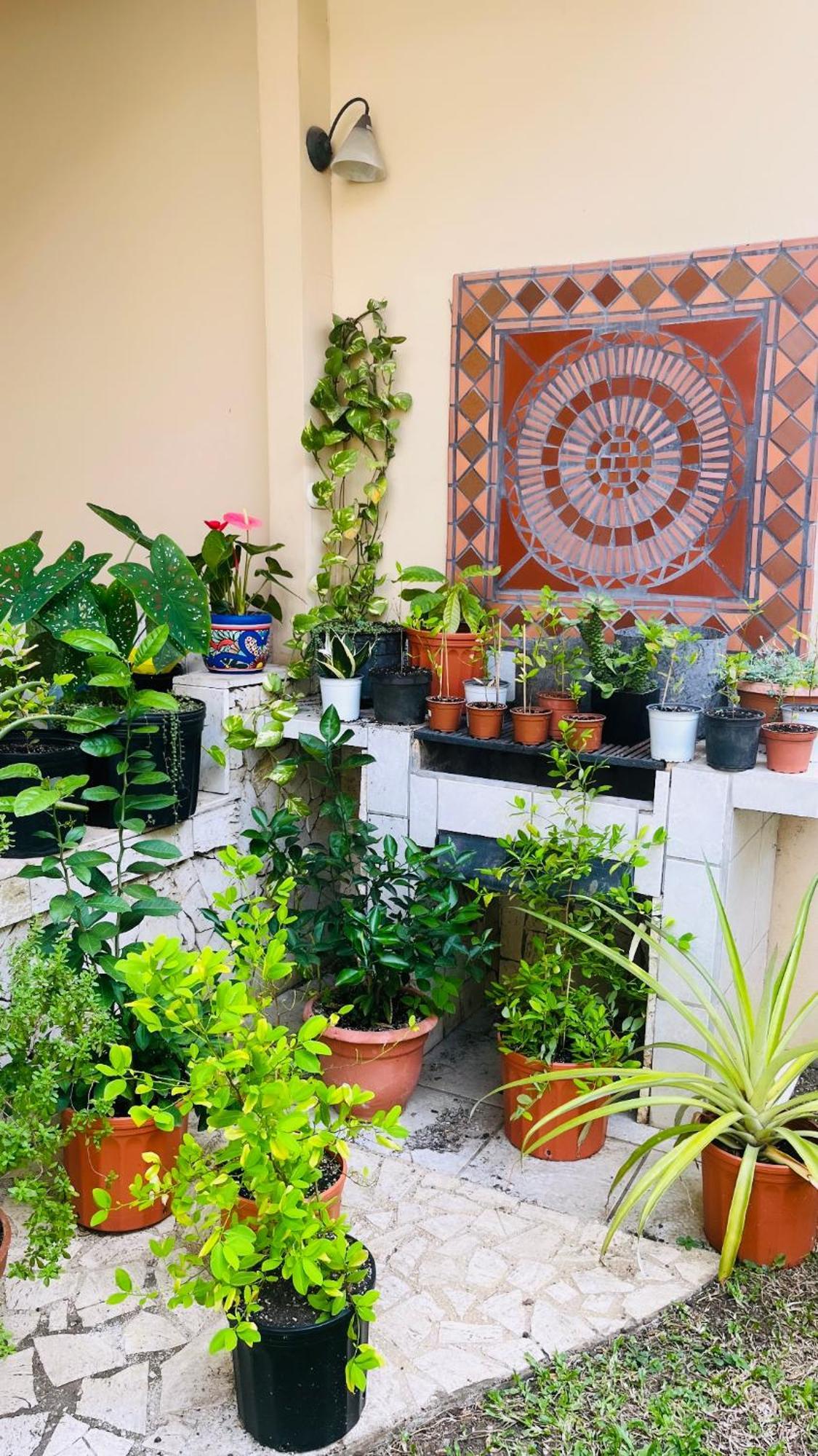 Ester'S Place Escazú Zewnętrze zdjęcie