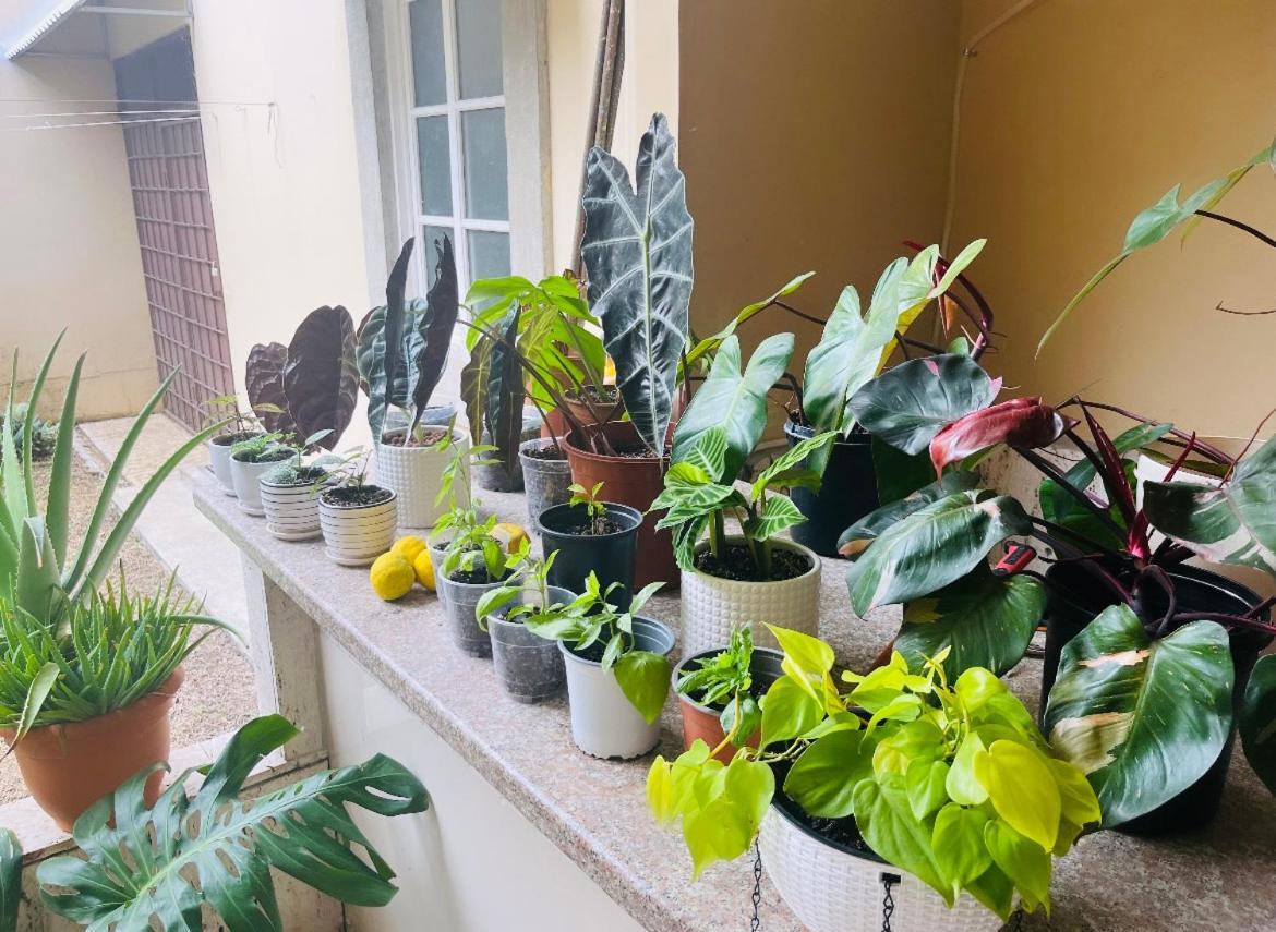 Ester'S Place Escazú Zewnętrze zdjęcie