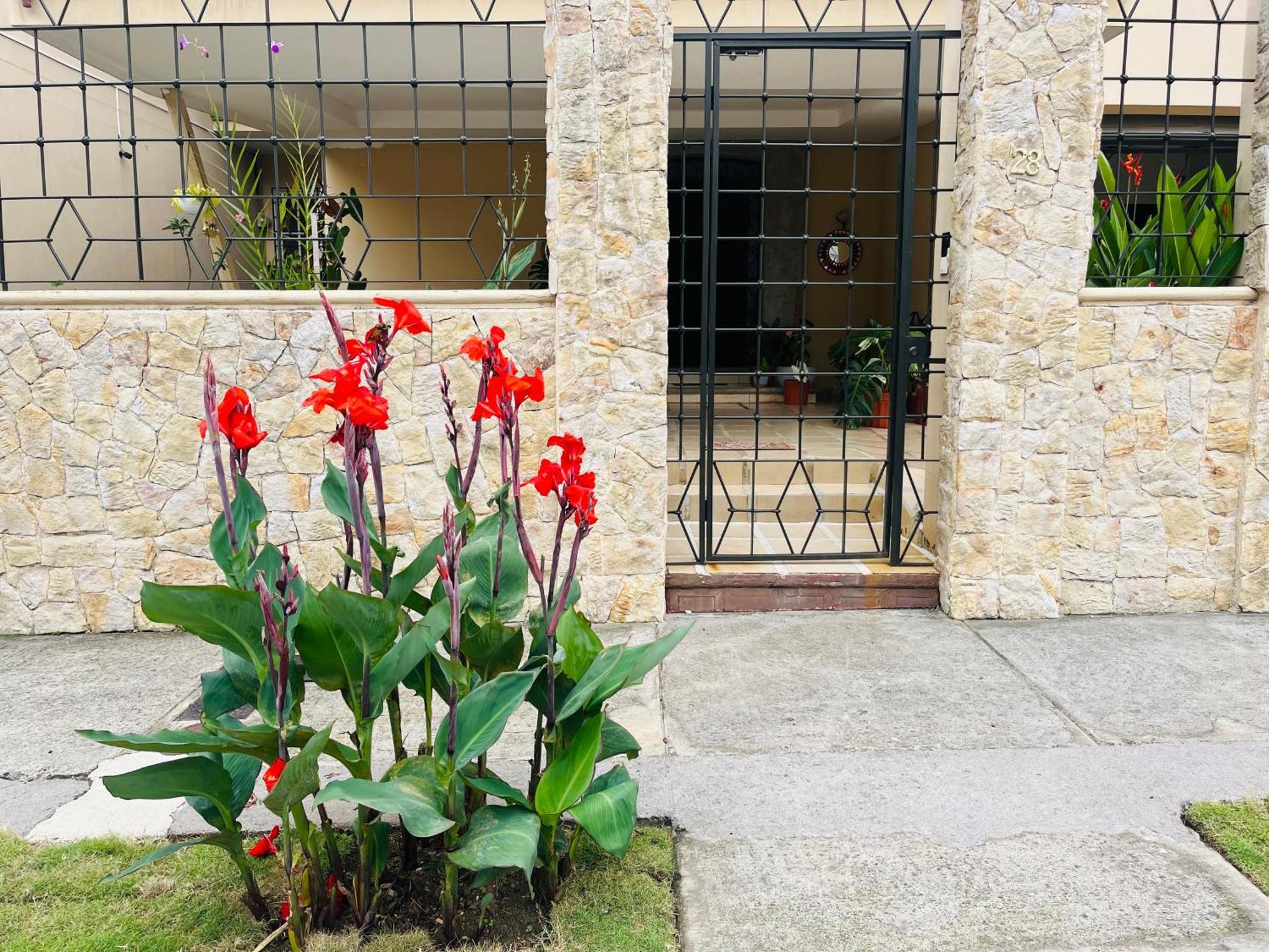 Ester'S Place Escazú Zewnętrze zdjęcie
